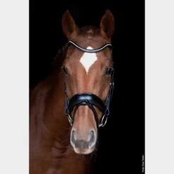 Stanford Flash Bridle Black -Horse Riding Equipment Store go 479207 c