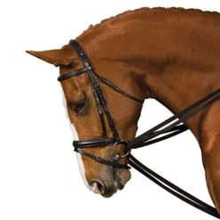 Web Draw Reins Set -Horse Riding Equipment Store go 479332 z
