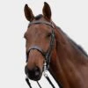 Show Weymouth Bridle -Horse Riding Equipment Store go 479348 a