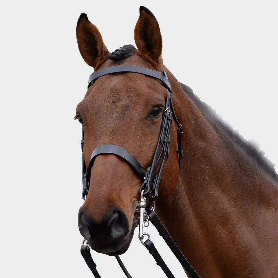 Show Weymouth Bridle 3 Show Weymouth Bridle