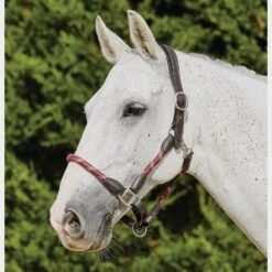 Leather Headcollar -Horse Riding Equipment Store go 479357 b
