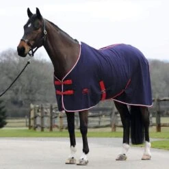 Weatherbeeta Cotton Show Sheet 5 Weatherbeeta Cotton Show Sheet -Horse Riding Equipment Store go 479474 z