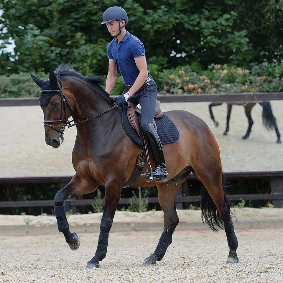 Weatherbeeta Prime Fly Veil Black 4 Weatherbeeta Prime Fly Veil Black - Image 2