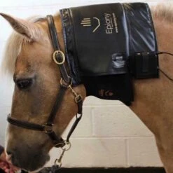 Therapy Heat Pad 8 Therapy Heat Pad -Horse Riding Equipment Store go 479853 c