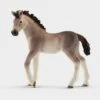 Schleich Andalusian Foal 1 Schleich Andalusian Foal -Horse Riding Equipment Store go 499757 a