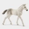 Schleich Holsteiner Foal 2 Schleich Holsteiner Foal -Horse Riding Equipment Store go 499784 a
