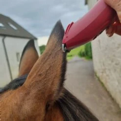 Nova Trimmer 20 Nova Trimmer -Horse Riding Equipment Store go 517244 e