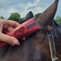 Nova Trimmer 21 Nova Trimmer -Horse Riding Equipment Store go 517244 f