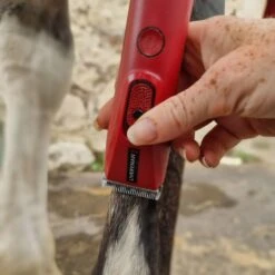 Nova Trimmer 24 Nova Trimmer -Horse Riding Equipment Store go 517244 i