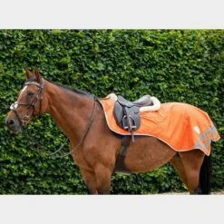 Mesh Exercise Sheet -Horse Riding Equipment Store go 517250 c