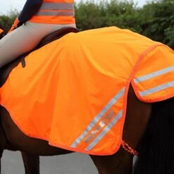 Mesh Exercise Sheet -Horse Riding Equipment Store go 517250 z