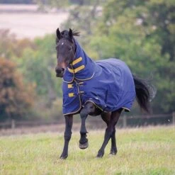 Tempest Original 300g Heavyweight Combo Neck Turnout Rug