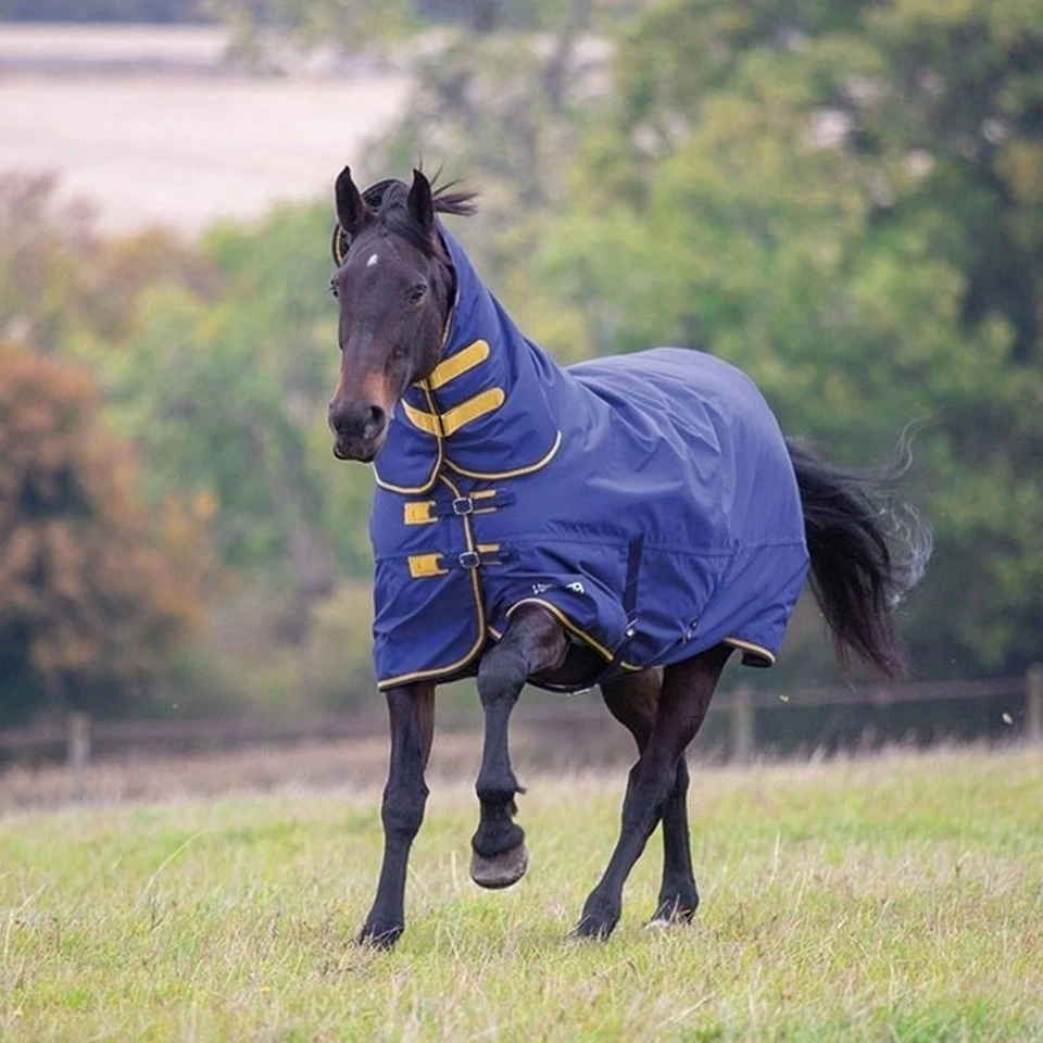 Tempest Original 300g Heavyweight Combo Neck Turnout Rug 4 Tempest Original 300g Heavyweight Combo Neck Turnout Rug - Image 2