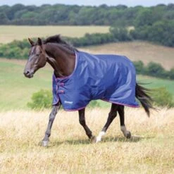 Tempest Original 100g Turnout Rug 5 Tempest Original 100g Turnout Rug -Horse Riding Equipment Store go 517273 z