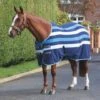 Tempest Original Striped Newmarket Fleece Rug 1 Tempest Original Striped Newmarket Fleece Rug -Horse Riding Equipment Store go 517277 a