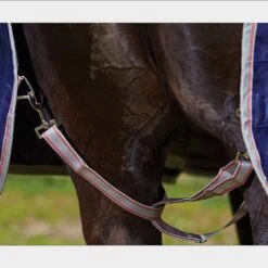 Weatherbeeta ComFiTec Essential 220g Medium Weight Combo Neck Turnout Rug -Horse Riding Equipment Store go 517458 g