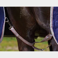 Weatherbeeta ComFiTec Classic 0g Lightweight Standard Neck Turnout Rug -Horse Riding Equipment Store go 517461 e