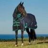 Weatherbeeta Green-Tec 900D 220g Medium Weight Detach-A-Neck Turnout Rug 2 Weatherbeeta Green-Tec 900D 220g Medium Weight Detach-A-Neck Turnout Rug -Horse Riding Equipment Store go 517479 a