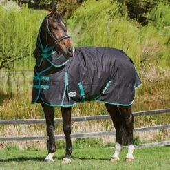 Weatherbeeta Green-Tec 900D 220g Medium Weight Detach-A-Neck Turnout Rug 18 Weatherbeeta Green-Tec 900D 220g Medium Weight Detach-A-Neck Turnout Rug -Horse Riding Equipment Store go 517479 c