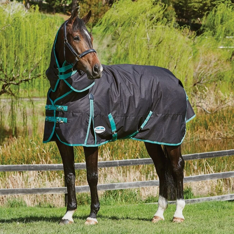 Weatherbeeta Green-Tec 900D 220g Medium Weight Detach-A-Neck Turnout Rug 5 Weatherbeeta Green-Tec 900D 220g Medium Weight Detach-A-Neck Turnout Rug - Image 3