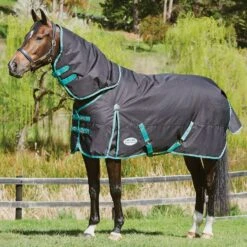 Weatherbeeta Green-Tec 900D 220g Medium Weight Detach-A-Neck Turnout Rug 19 Weatherbeeta Green-Tec 900D 220g Medium Weight Detach-A-Neck Turnout Rug -Horse Riding Equipment Store go 517479 d