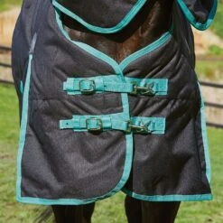 Weatherbeeta Green-Tec 900D 220g Medium Weight Detach-A-Neck Turnout Rug 20 Weatherbeeta Green-Tec 900D 220g Medium Weight Detach-A-Neck Turnout Rug -Horse Riding Equipment Store go 517479 e