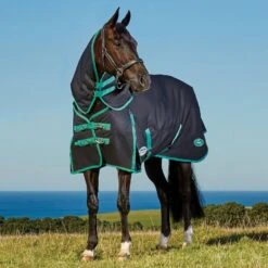 Weatherbeeta Green-Tec 900D 220g Medium Weight Detach-A-Neck Turnout Rug 29 Weatherbeeta Green-Tec 900D 220g Medium Weight Detach-A-Neck Turnout Rug -Horse Riding Equipment Store go 517479 z