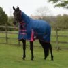 Weatherbeeta ComFiTec Classic Medium Combo Turnout Rug -Horse Riding Equipment Store go 517501 a