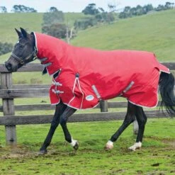 Weatherbeeta ComFiTec Classic Combo Rug Medium -Horse Riding Equipment Store go 517502 z