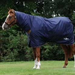 Saxon Defiant 600D Medium Weight Combo Neck Rug 5 Saxon Defiant 600D Medium Weight Combo Neck Rug -Horse Riding Equipment Store go 517503 z
