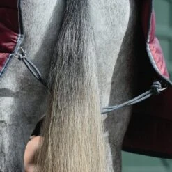 Weatherbeeta ComFiTec 210D Channel Quilt 400g Heavy Weight Combo Stable Rug 14 Weatherbeeta ComFiTec 210D Channel Quilt 400g Heavy Weight Combo Stable Rug -Horse Riding Equipment Store go 517505 e