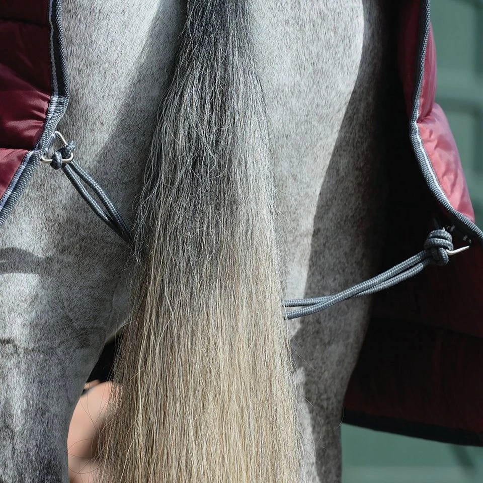 Weatherbeeta ComFiTec 210D Channel Quilt 400g Heavy Weight Combo Stable Rug 7 Weatherbeeta ComFiTec 210D Channel Quilt 400g Heavy Weight Combo Stable Rug - Image 5