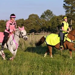 Winter Wrap Around Rug Red Orange -Horse Riding Equipment Store go 527726 c