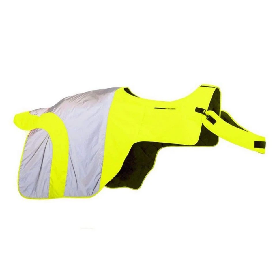 Mercury Wrap Around Rug 4 Mercury Wrap Around Rug - Image 2