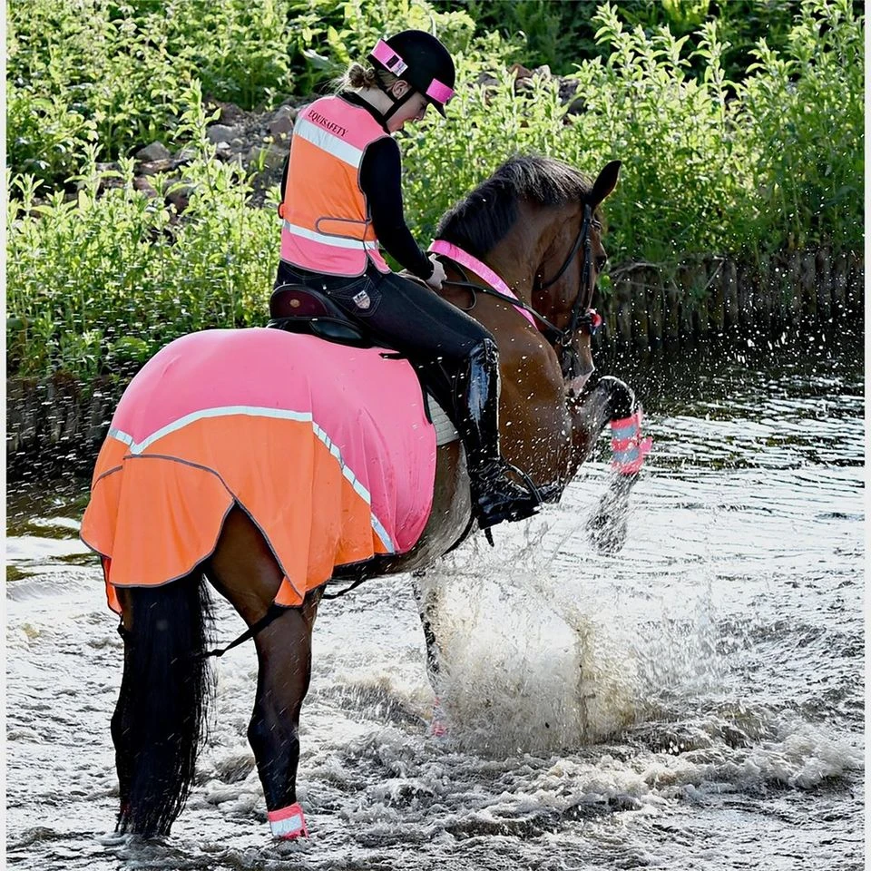 Charlotte Dujardin Multi-Coloured Quarter Sheet Pink/Orange 4 Charlotte Dujardin Multi-Coloured Quarter Sheet Pink/Orange - Image 2