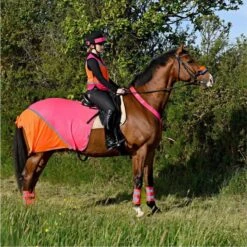 Charlotte Dujardin Multi-Coloured Quarter Sheet Pink/Orange 11 Charlotte Dujardin Multi-Coloured Quarter Sheet Pink/Orange -Horse Riding Equipment Store go 527734 z