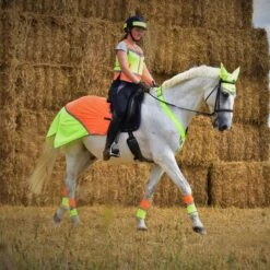 Charlotte Dujardin Multi-Coloured Nose Band -Horse Riding Equipment Store go 527739 d