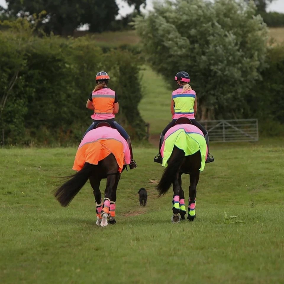 Charlotte Dujardin Multi-Coloured Horse Boots Pink/Orange 4 Charlotte Dujardin Multi-Coloured Horse Boots Pink/Orange - Image 2