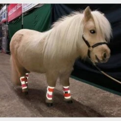 Charlotte Dujardin Multi-Coloured Horse Boots Pink/Orange 8 Charlotte Dujardin Multi-Coloured Horse Boots Pink/Orange -Horse Riding Equipment Store go 527740 c