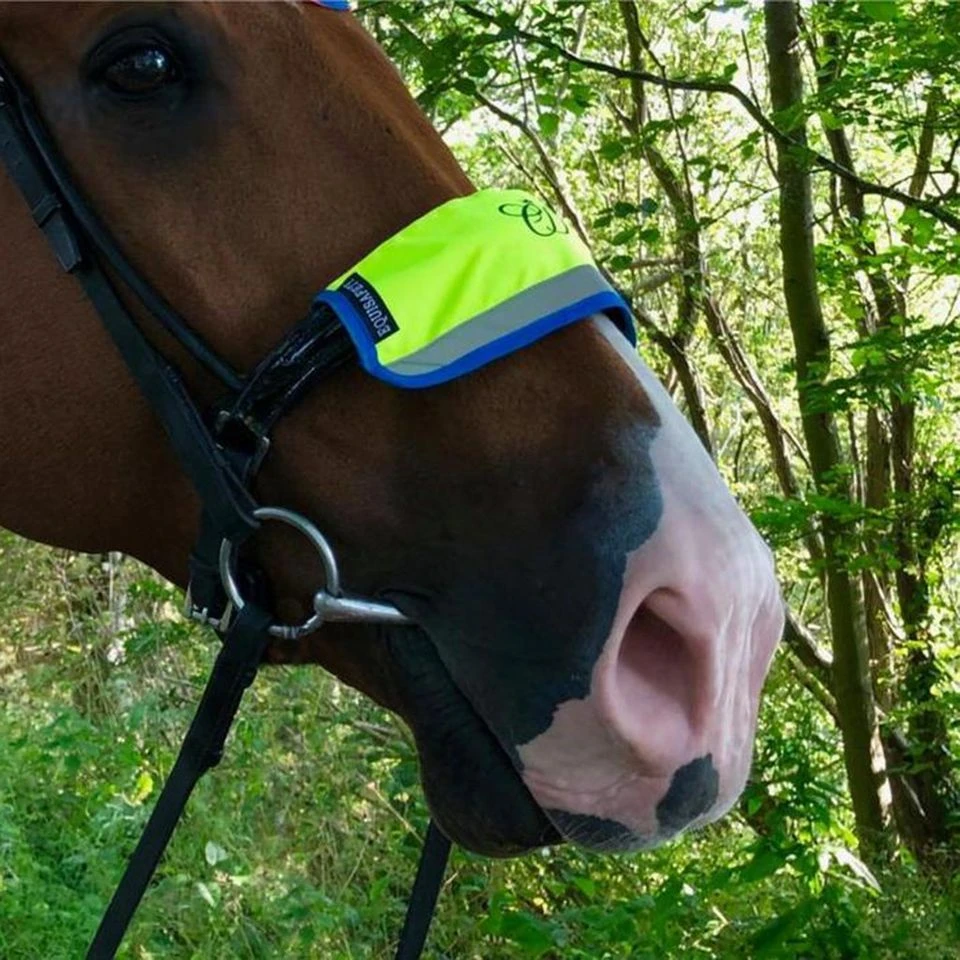 Charlotte Dujardin Multi-Coloured Nose Band Pink/Yellow 4 Charlotte Dujardin Multi-Coloured Nose Band Pink/Yellow - Image 2
