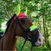 Charlotte Dujardin Reflective Multi-Coloured Mesh Horse Ears Pink/Yellow 2 Charlotte Dujardin Reflective Multi-Coloured Mesh Horse Ears Pink/Yellow -Horse Riding Equipment Store go 527746 a