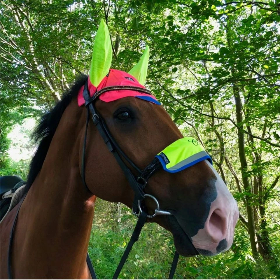 Charlotte Dujardin Reflective Multi-Coloured Mesh Horse Ears Pink/Yellow 3 Charlotte Dujardin Reflective Multi-Coloured Mesh Horse Ears Pink/Yellow
