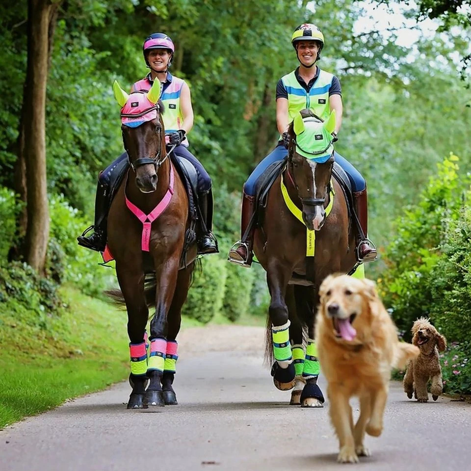 Charlotte Dujardin Reflective Multi-Coloured Mesh Horse Ears Pink/Yellow 5 Charlotte Dujardin Reflective Multi-Coloured Mesh Horse Ears Pink/Yellow - Image 3