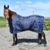 Dunford 200g Stable Rug 1 Dunford 200g Stable Rug -Horse Riding Equipment Store go 548909 a