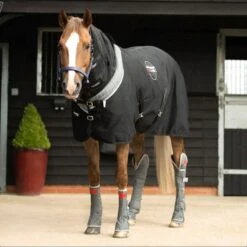 Magnetic Rug 5 Magnetic Rug -Horse Riding Equipment Store go 571598 z