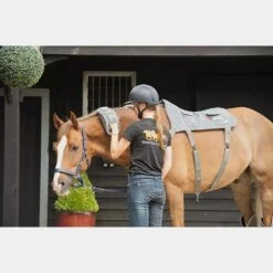 Massage Hotspot Combo 12 Massage Hotspot Combo -Horse Riding Equipment Store go 571600 b