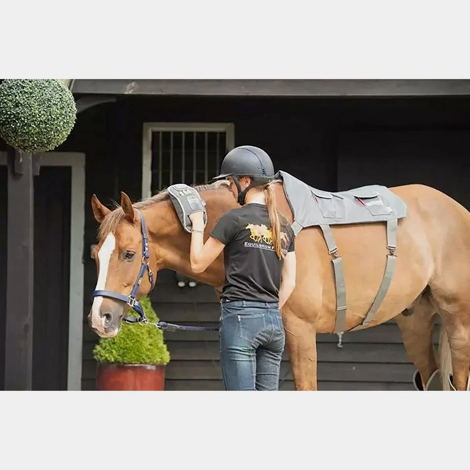 Massage Hotspot Combo 4 Massage Hotspot Combo - Image 2