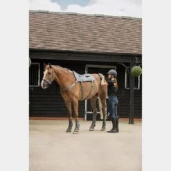 Massage Hotspot Combo 14 Massage Hotspot Combo -Horse Riding Equipment Store go 571600 d