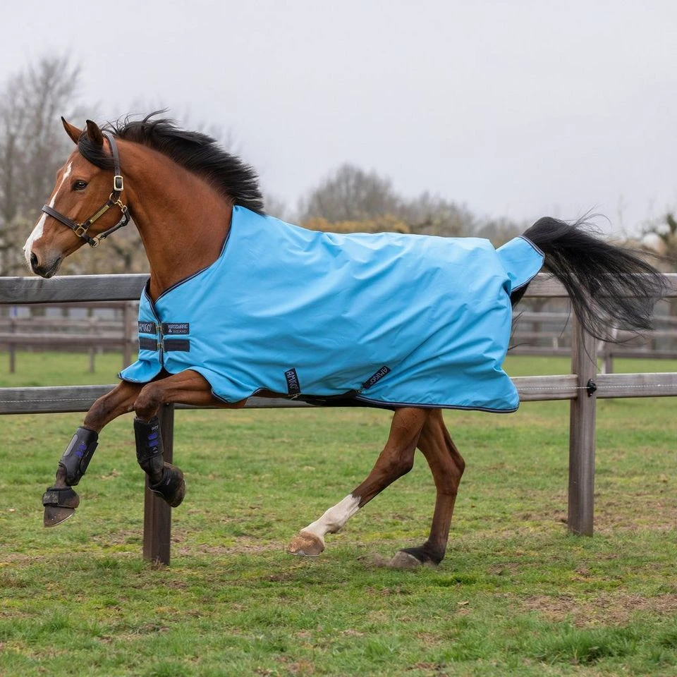 Amigo® Hero 900D Turnout 0g Lite Rug 3 Amigo® Hero 900D Turnout 0g Lite Rug