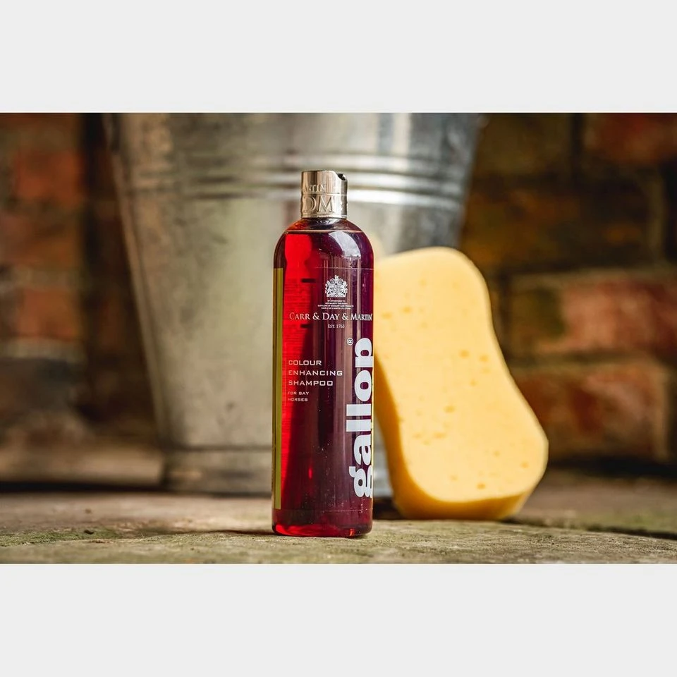 Gallop Colour Enhancing Shampoo 4 Gallop Colour Enhancing Shampoo - Image 2